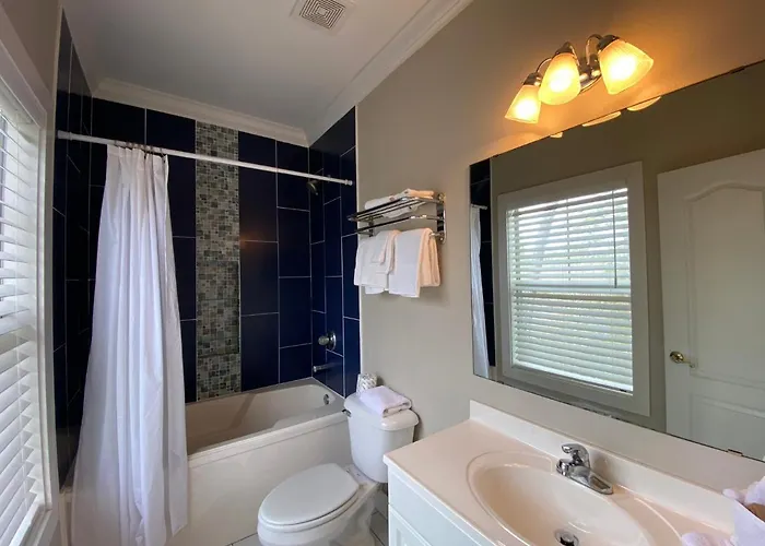 Purple Parrot 9c By Pkrm Apartment